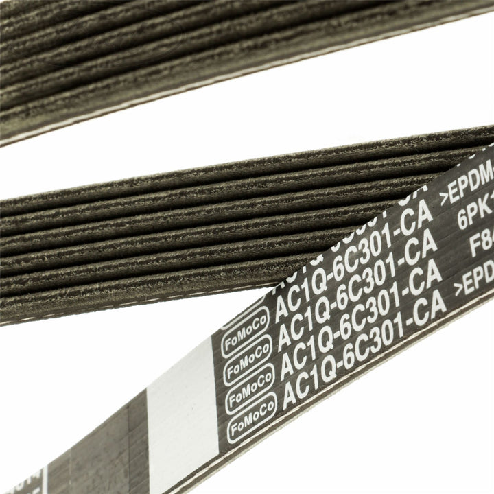 TRANSIT DRIVE V BELT