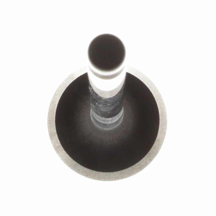 ENGINE EXHAUST VALVE