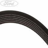 FOCUS FOCUS C-MAX MPV DRIVE V BELT