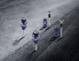 FOCUS COILOVER SUSPENSION KIT STAINLESS STEEL WITH POWDER COATED SPRINGS IN FORD PERFORMANCE BLUE