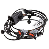 FOCUS FRONT FOG LAMP WIRING LOOM