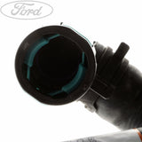 HEATER HOSE