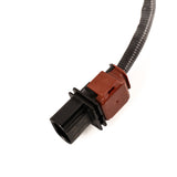 Focus 1.0 EcoBoost Exhaust Hego Sensor 2018-Onwards