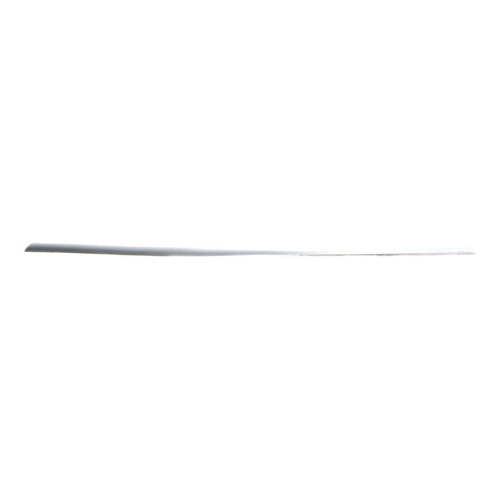 FIESTA N/S DOOR OUTSIDE BODY MOULDING