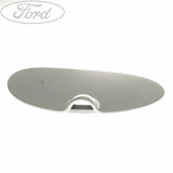 FUEL TANK FILLER ACCESS DOOR FLAP