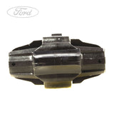 FIESTA REAR DOOR HINGE SWING CHECK STRAP