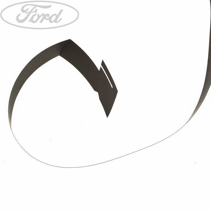 FIESTA N/S DOOR OUTSIDE BODY MOULDING