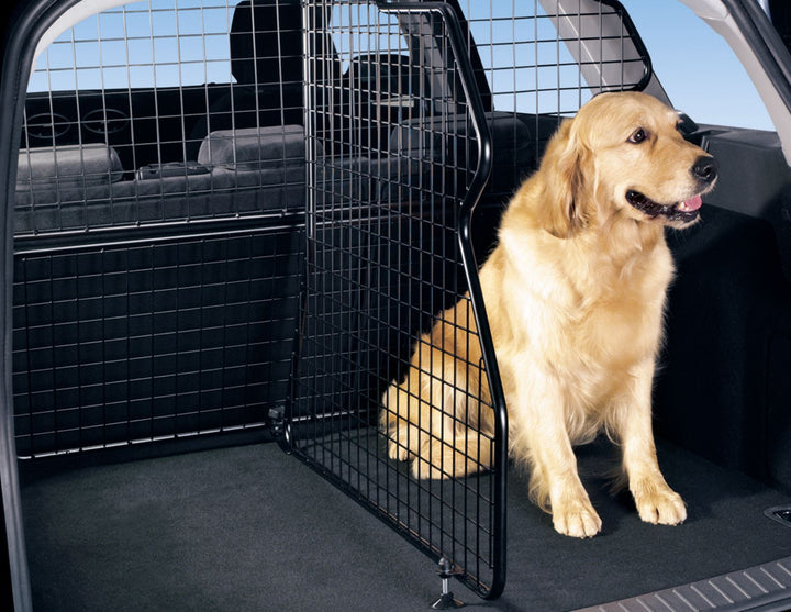 FOCUS LOAD COMPARTMENT DIVIDER FOR LOAD RETENTION GUARD