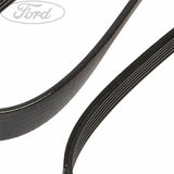TRANSIT DRIVE V BELT