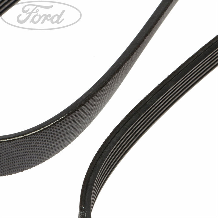 TRANSIT DRIVE V BELT