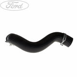 RADIATOR HOSE