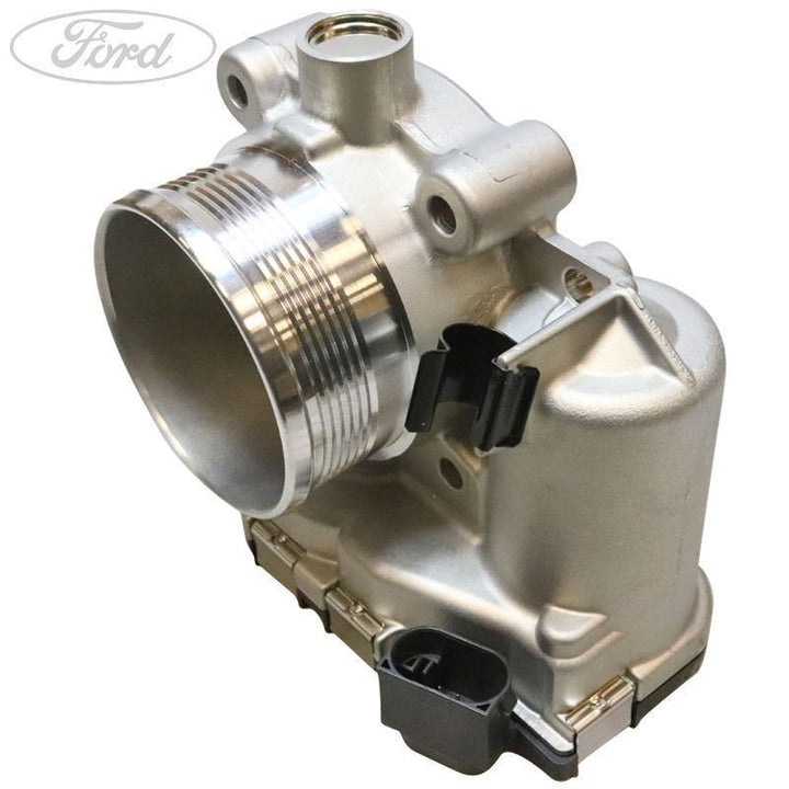 THROTTLE BODY AND MOTOR