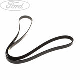 FOCUS MOTORCRAFT DRIVE V BELT