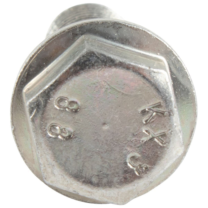 WATER PUMP & CONNECTIONS/THERMOSTAT BOLT PACK OF 5