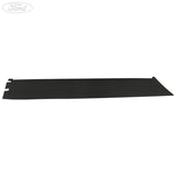 DOOR TRIM PANEL APPLIQUE