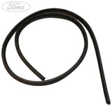FIESTA REAR N/S DOOR WEATHERSTRIP SEAL 2012-