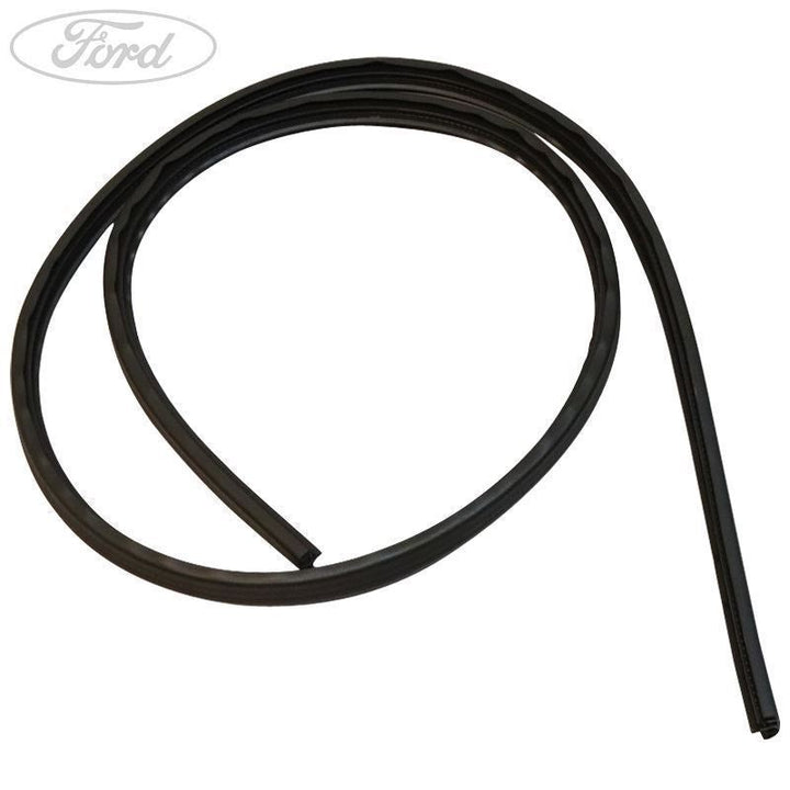 FIESTA REAR N/S DOOR WEATHERSTRIP SEAL 2012-