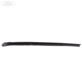 REAR DOOR MOULDING
