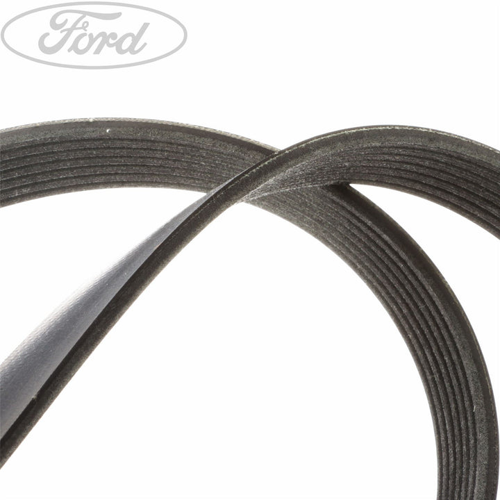 TRANSIT MOTORCRAFT DRIVE V BELT