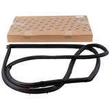 FIESTA N/S FRONT DOOR WEATHERSTRIP SEAL