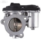 THROTTLE BODY AND MOTOR
