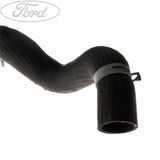 RADIATOR HOSE