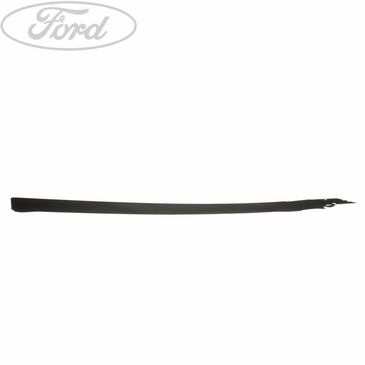 FIESTA N/S DOOR WINDOW FRAME MOULDING