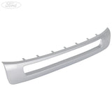 EVEREST LOWER RADIATOR GRILLE HIGHLIGHT SILVER METALLIC