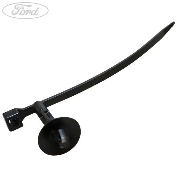 CLIP