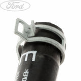 RADIATOR HOSE