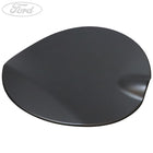 FUEL TANK FILLER ACCESS DOOR