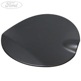 FUEL TANK FILLER ACCESS DOOR