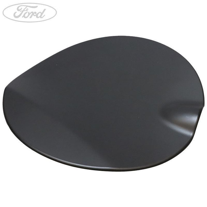 FUEL TANK FILLER ACCESS DOOR