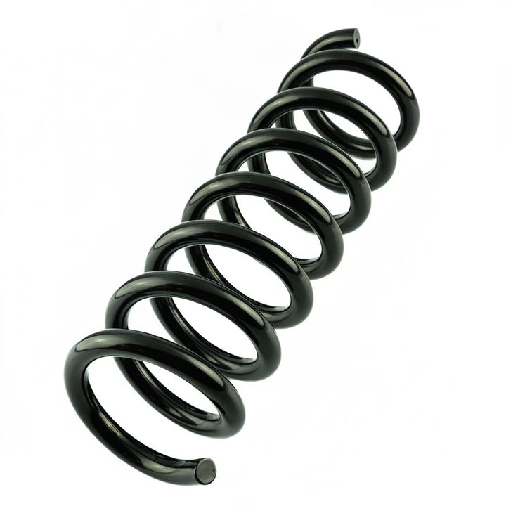 Ranger N/S Or O/S Front Coil Spring Silver x1 2019-2023