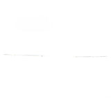 FOCUS N/S DOOR OUTSIDE BODY MOULDING