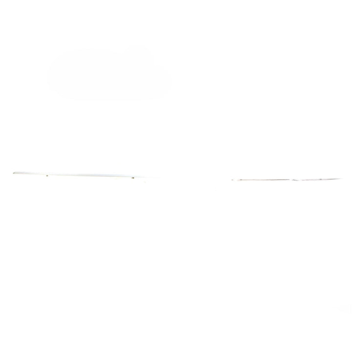 FOCUS N/S DOOR OUTSIDE BODY MOULDING