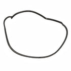 ECOSPORT N/S FRONT DOOR WINDOW WEATHERSTRIP 2018-2023