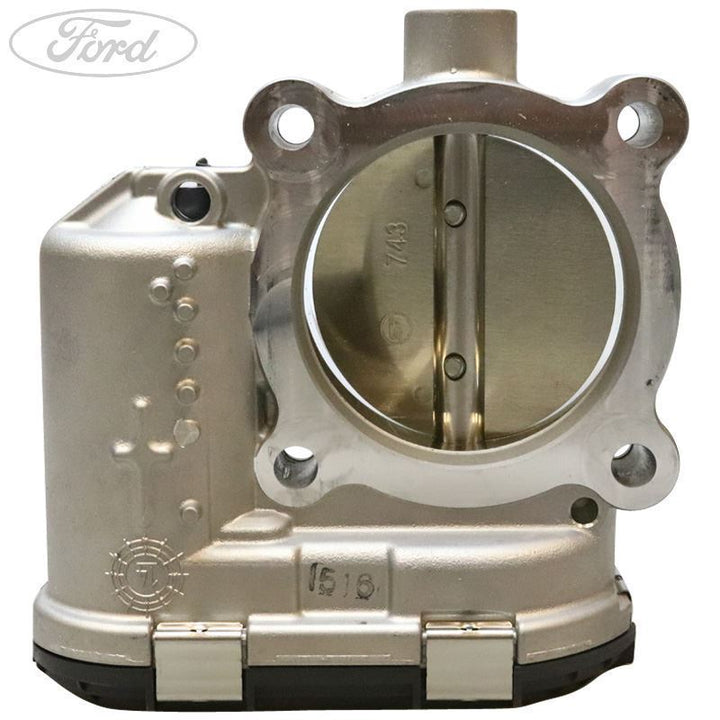 THROTTLE BODY AND MOTOR