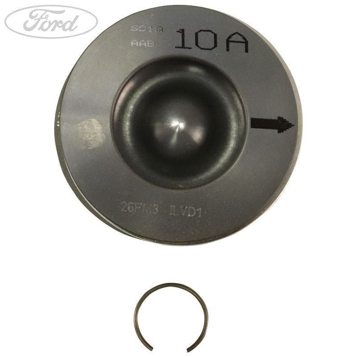 PISTON RING AND PIN
