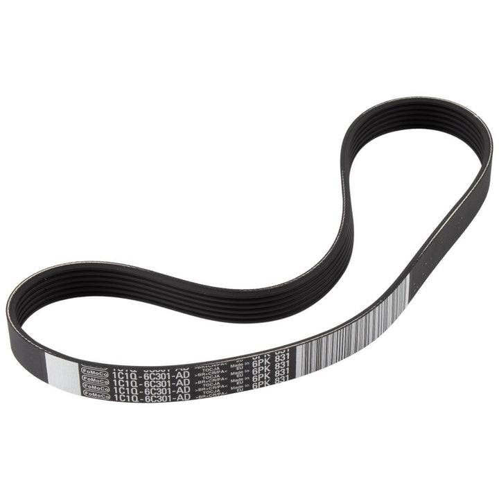 TRANSIT DRIVE BELT KIT