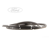 FOCUS O/S REAR DOOR WEATHERSTRIP SEAL SURROUND