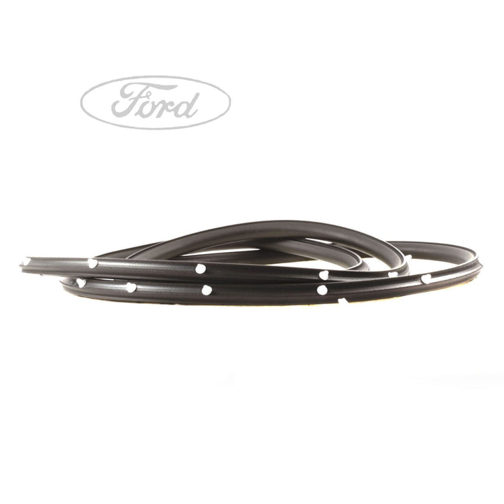 FOCUS O/S REAR DOOR WEATHERSTRIP SEAL SURROUND