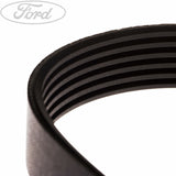 FOCUS FIESTA FUSION DRIVE BELT KIT