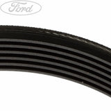 DRIVE V BELT