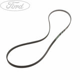 TRANSIT DRIVE BELT