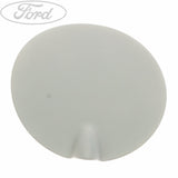 FUEL TANK FILLER ACCESS DOOR FLAP