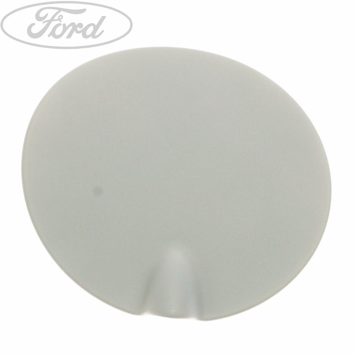 FUEL TANK FILLER ACCESS DOOR FLAP