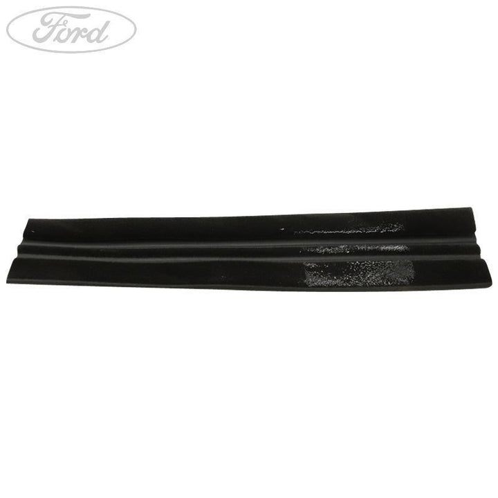 FIESTA REAR DOOR GLASS RUNNER SEAL 2012-