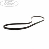TRANSIT DRIVE BELT