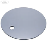 FUEL TANK FILLER ACCESS DOOR